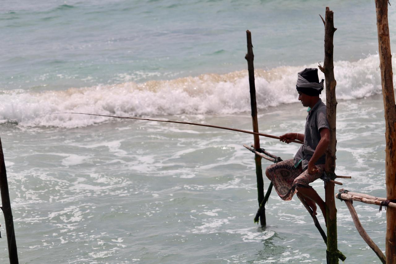 Pêcheur sur échasses traditionnel du Sri Lanka, côte sud de Weligama